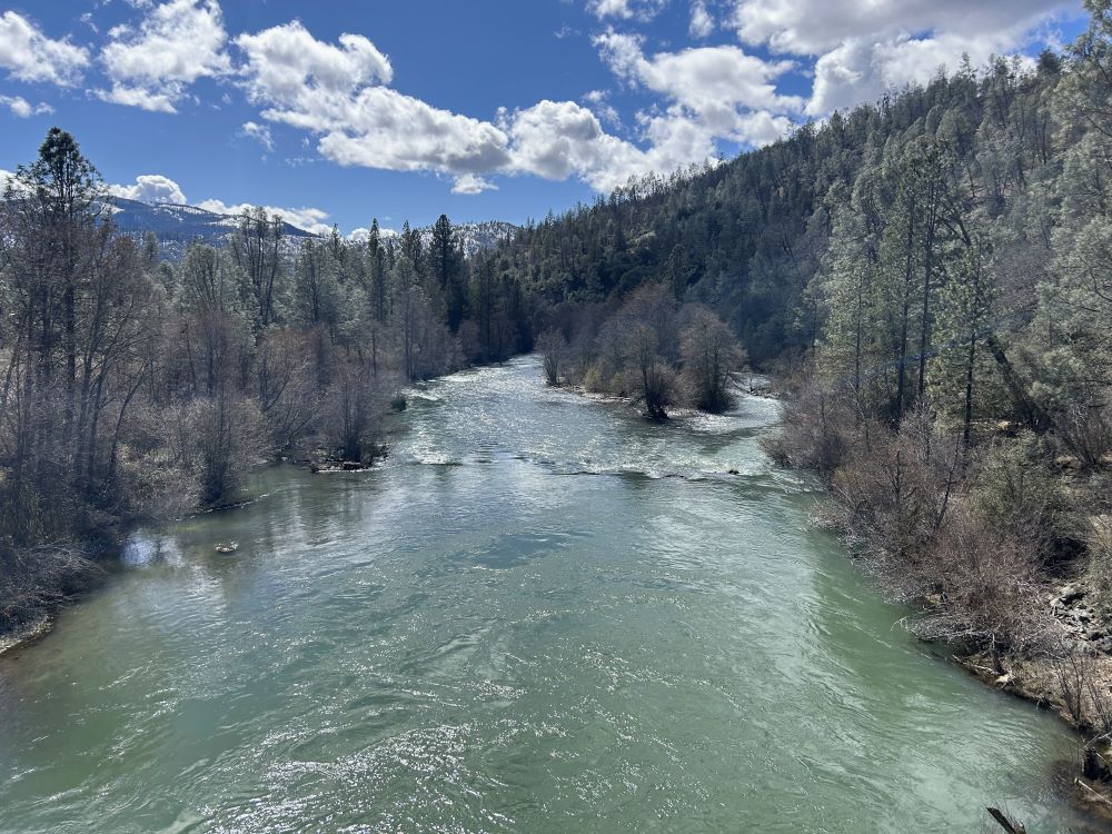 Trinity River from new Lewiston Bridge